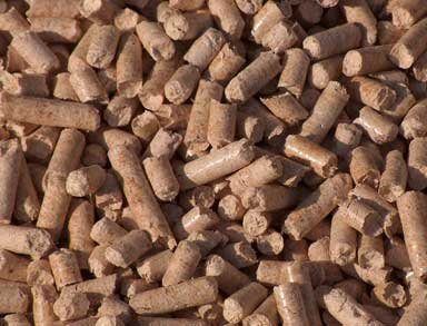 best wood pellets for pellet stove